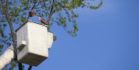 tree company marketing agency - an aerial lift for tree trimming